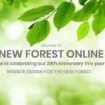 new forest online 20 years